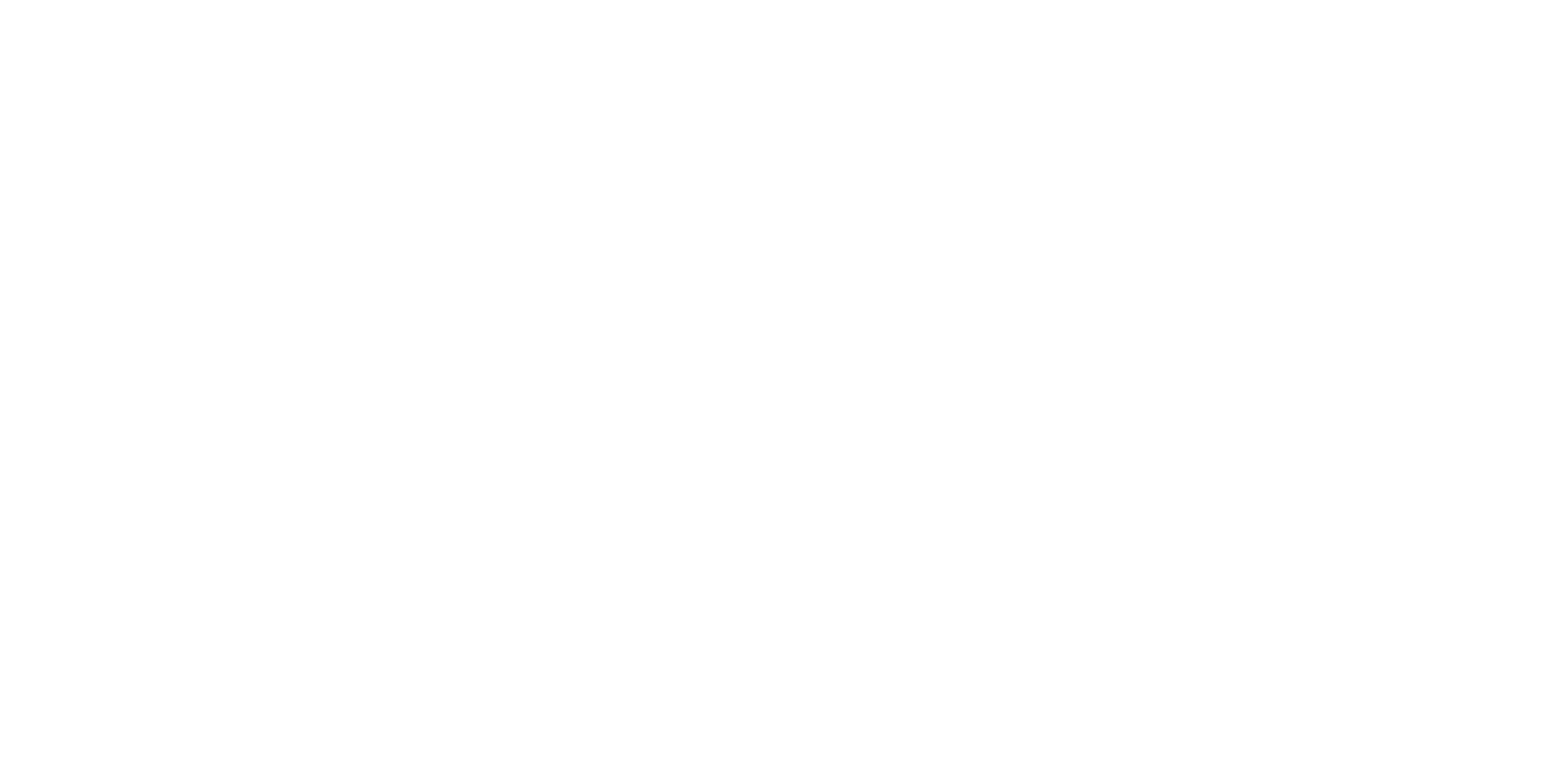 Team Arion Logo